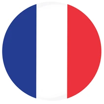 translation into French French